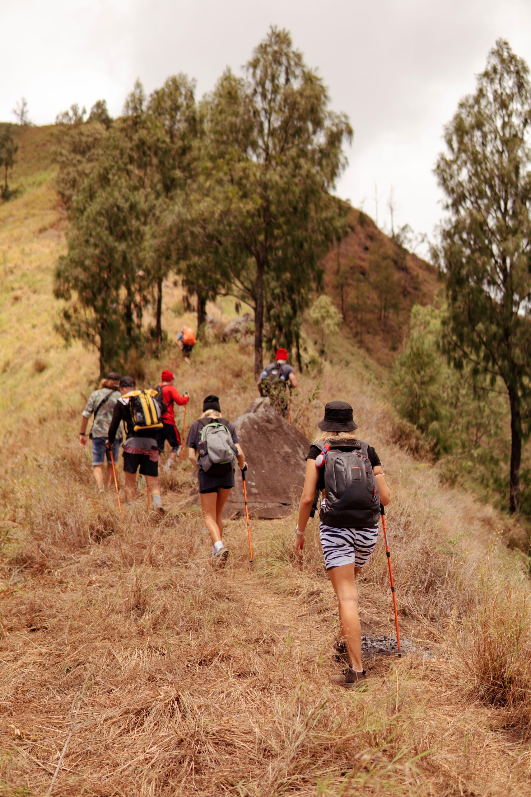 a group of people walking on the trek. bali